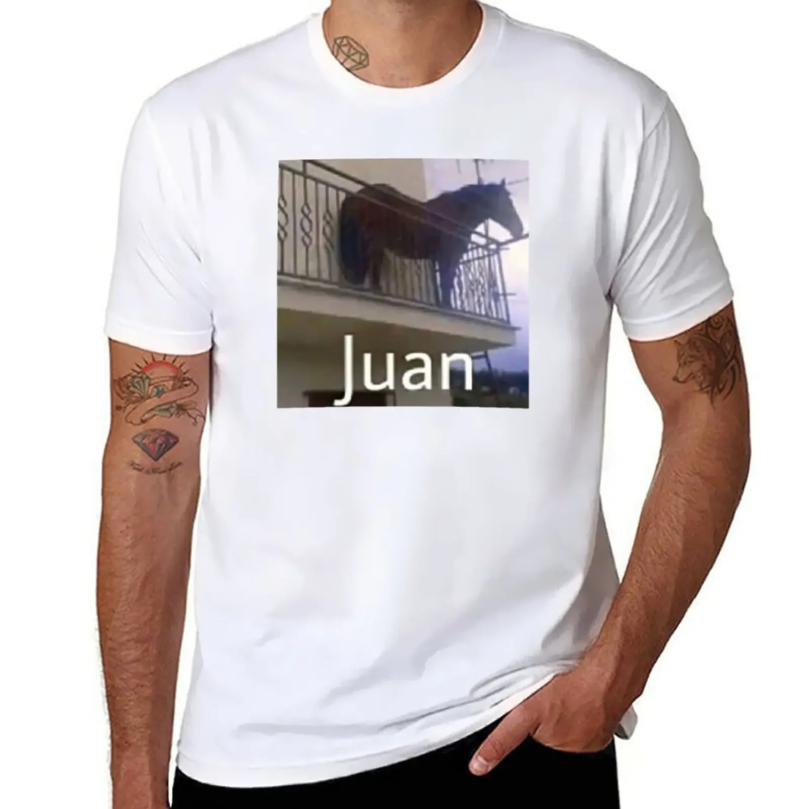 Juan horse on balcony T-Shirt plus sizes hippie clothes quick drying plain t shirts men
Juan horse on balcony T-Shirt plus sizes hippie clothes quick drying plain t shirts men