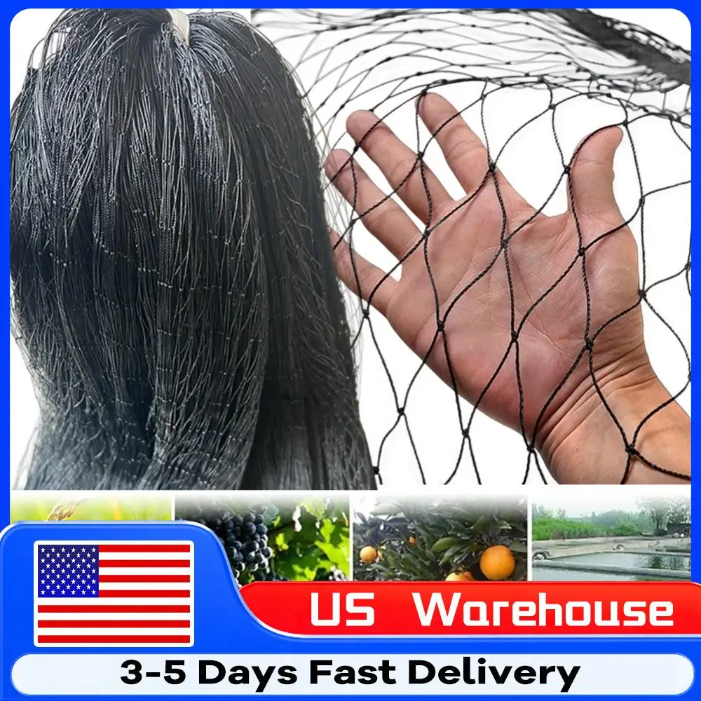 Нейлоновая сетка для птиц, сетка для ястреба, защитная сетка для курятника, 25*50 футов, сетка для фруктовых деревьев для птиц, оленя, белка, однослойная
Нейлоновая сетка для птиц, сетка для ястреба, защитная сетка для курятника, 25*50 футов, сетка для фруктовых деревьев для птиц, оленя, белка, однослойная