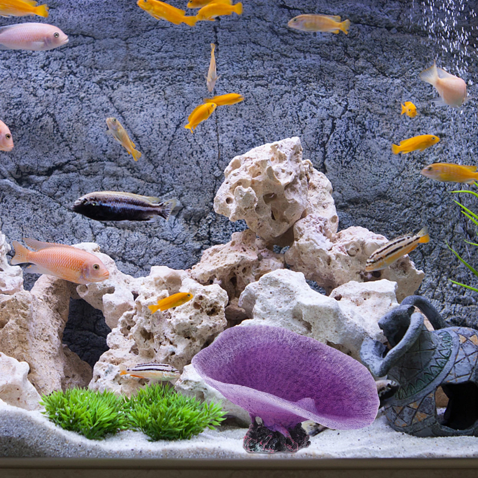 Artificial Coral Aquarium Ornament Realistic Resin Coral Decoration Fish Tank Decor Natural Underwater Habitat for Freshwater
Artificial Coral Aquarium Ornament Realistic Resin Coral Decoration Fish Tank Decor Natural Underwater Habitat for Freshwater