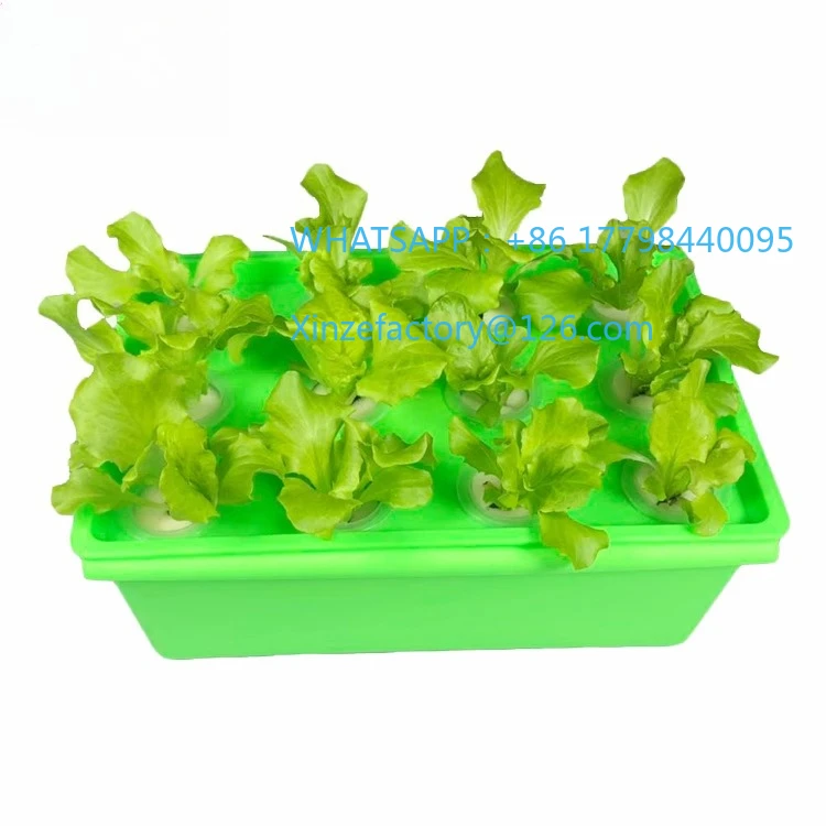 Customizable Box-type soilless cultivation equipment Hydroponic vegetables, balcony planting flowers Automatic circulating hydro
Customizable Box-type soilless cultivation equipment Hydroponic vegetables, balcony planting flowers Automatic circulating hydro