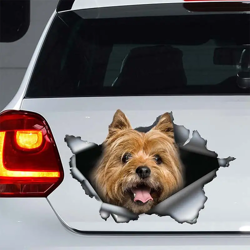 Cairn Terrier Car Sticker Pet Dog Animal Waterproof Vinyl Decal on Bumper Rear Window Laptop Self-adhesive Decal SH137
Cairn Terrier Car Sticker Pet Dog Animal Waterproof Vinyl Decal on Bumper Rear Window Laptop Self-adhesive Decal SH137