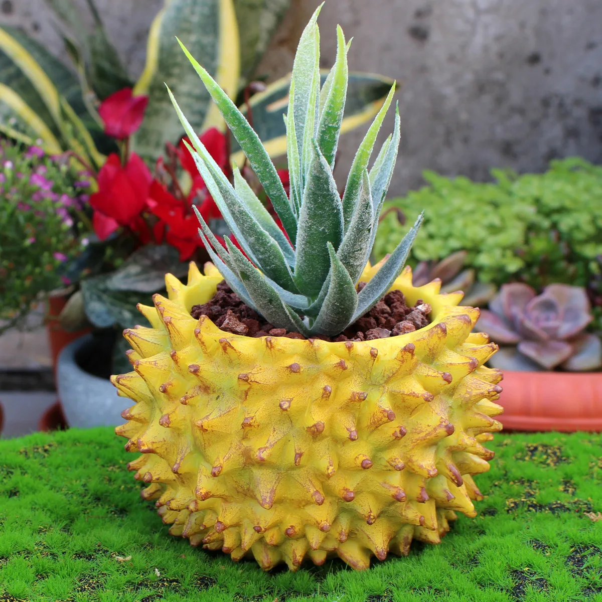 Handmade Durian Shaped Planter - Creative Gardening Decor for Home & Office
Handmade Durian Shaped Planter - Creative Gardening Decor for Home & Office