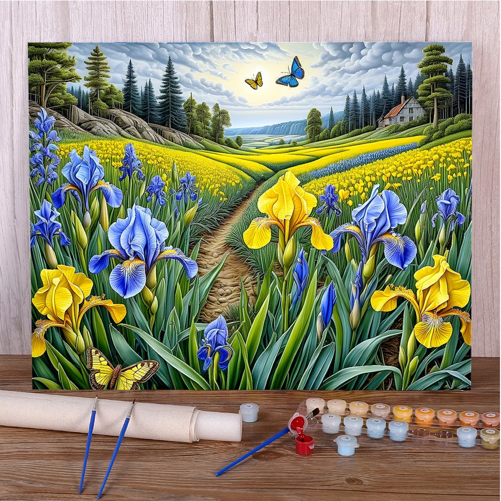Цветы Ирис Пейзаж DIY Краски по номерам Набор масляных красок 50*70 Картина маслом Домашний декор Поделки для взрослых Ручной работы Настенное искусство
Цветы Ирис Пейзаж DIY Краски по номерам Набор масляных красок 50*70 Картина маслом Домашний декор Поделки для взрослых Ручной работы Настенное искусство