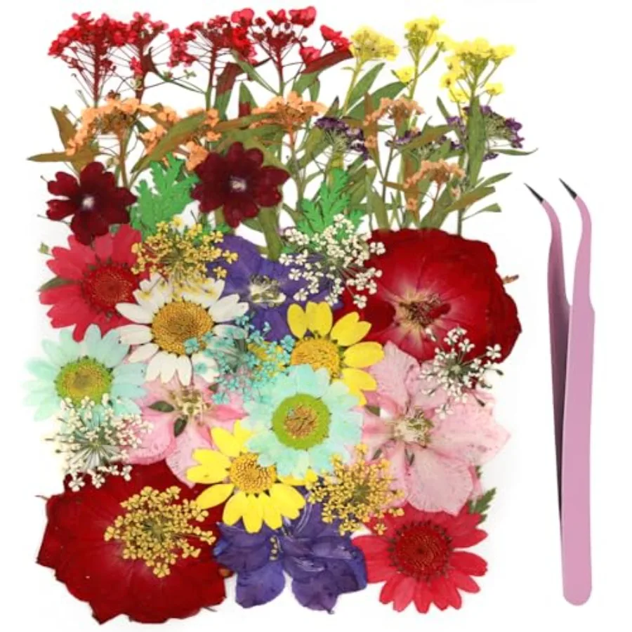 40Pcs Natural Pressed Dried Flowers Resin, Dry Flowers for Resin Accessories with Tweezer, Dried Flower for Scrapbooking DIY Ar
40Pcs Natural Pressed Dried Flowers Resin, Dry Flowers for Resin Accessories with Tweezer, Dried Flower for Scrapbooking DIY Ar