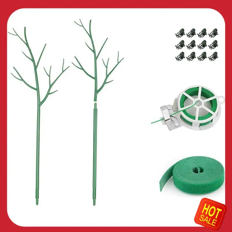 A08I 6Pack Detachable Twig Plant Support Stakes Set, Blends In To Plant, Branch Plant Sticks With Orchid
A08I 6Pack Detachable Twig Plant Support Stakes Set, Blends In To Plant, Branch Plant Sticks With Orchid