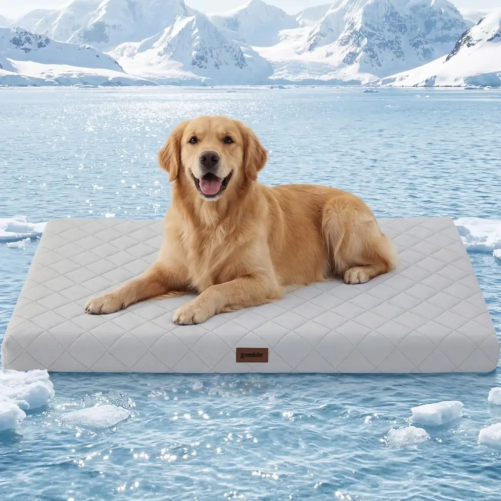 XXL Cooling Mat with Removable Cover for Dogs, Breathable Summer Bed, 47x29 Inches, Grey
XXL Cooling Mat with Removable Cover for Dogs, Breathable Summer Bed, 47x29 Inches, Grey