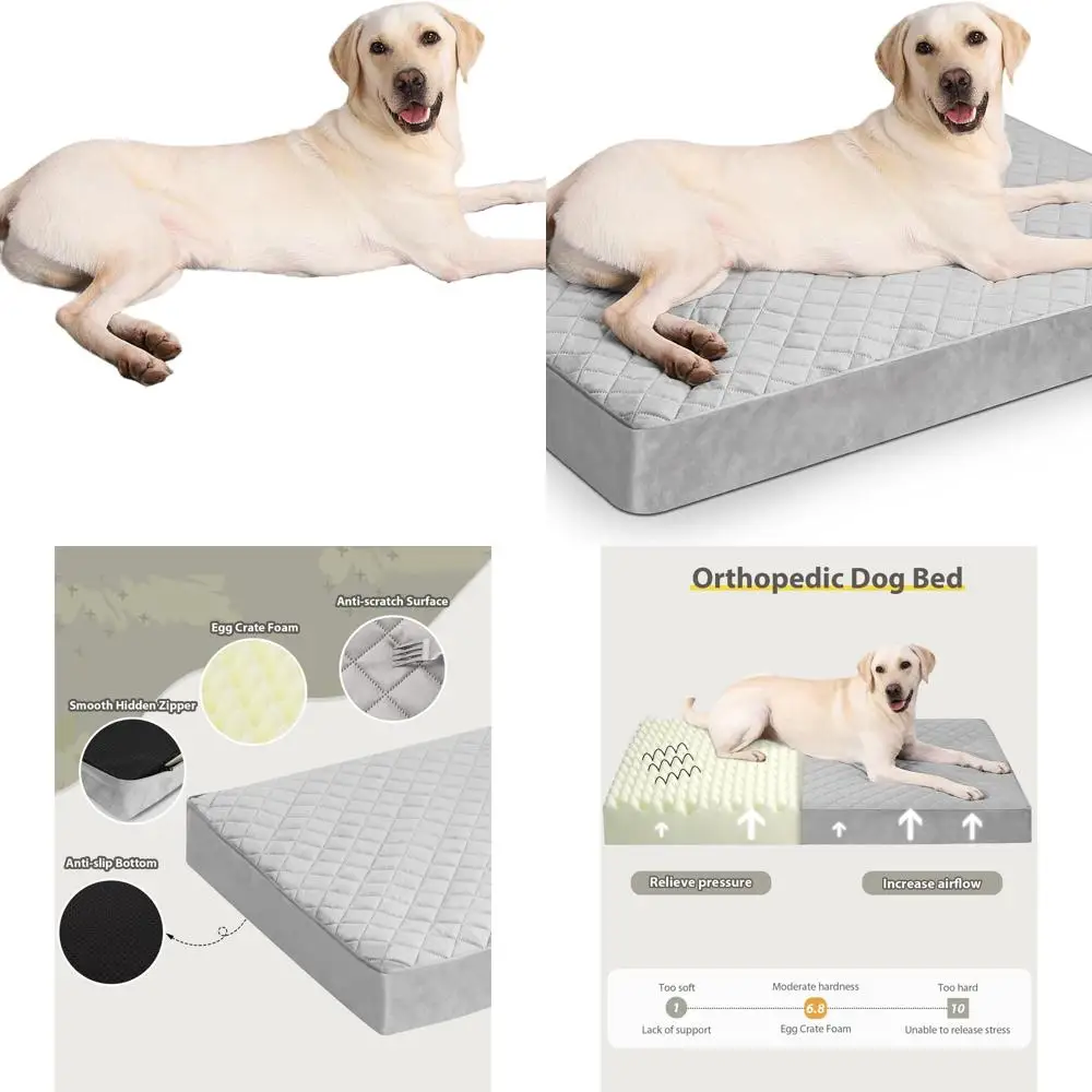 Orthopedic Jumbo Dog Bed for XL Dogs with Removable Cover and Non-Slip Base, 53x36, Light Gray
Orthopedic Jumbo Dog Bed for XL Dogs with Removable Cover and Non-Slip Base, 53x36, Light Gray