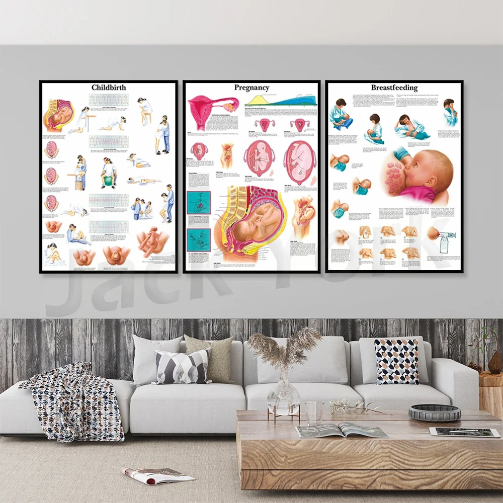 Pregnancy and childbirth poster Art Poster Print Body Map Canvas Painting Wall Pictures for Medical Education Home Decor
Pregnancy and childbirth poster Art Poster Print Body Map Canvas Painting Wall Pictures for Medical Education Home Decor