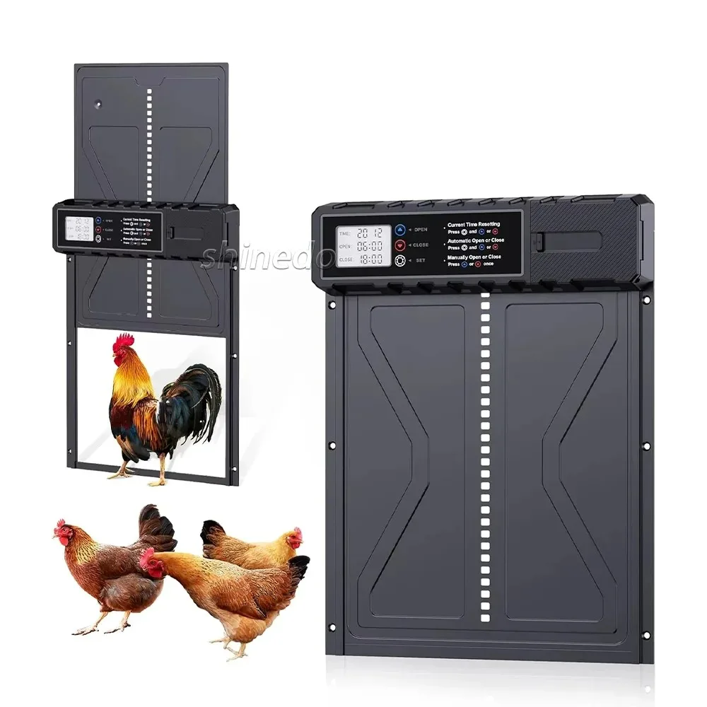 High Quality Sturdy and Durable Aluminum Chicken Door Automatic Switch Rack Lithium Battery Remote Control Chicken Coop Door
High Quality Sturdy and Durable Aluminum Chicken Door Automatic Switch Rack Lithium Battery Remote Control Chicken Coop Door