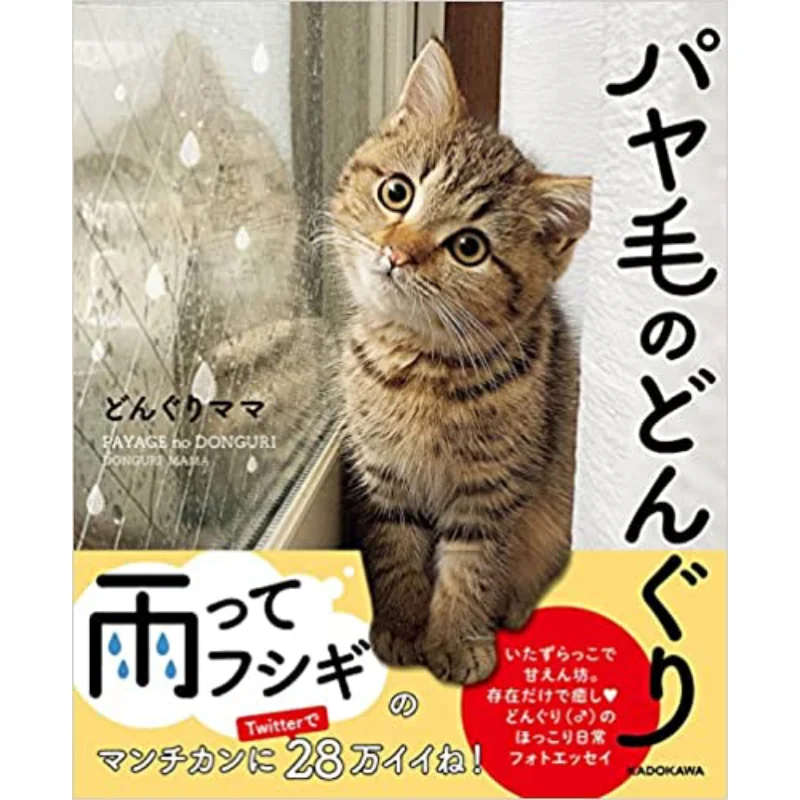Phyllum Acorn Dorn Mama Kadokawa Bookstore 9784046813503 Book
Phyllum Acorn Dorn Mama Kadokawa Bookstore 9784046813503 Book