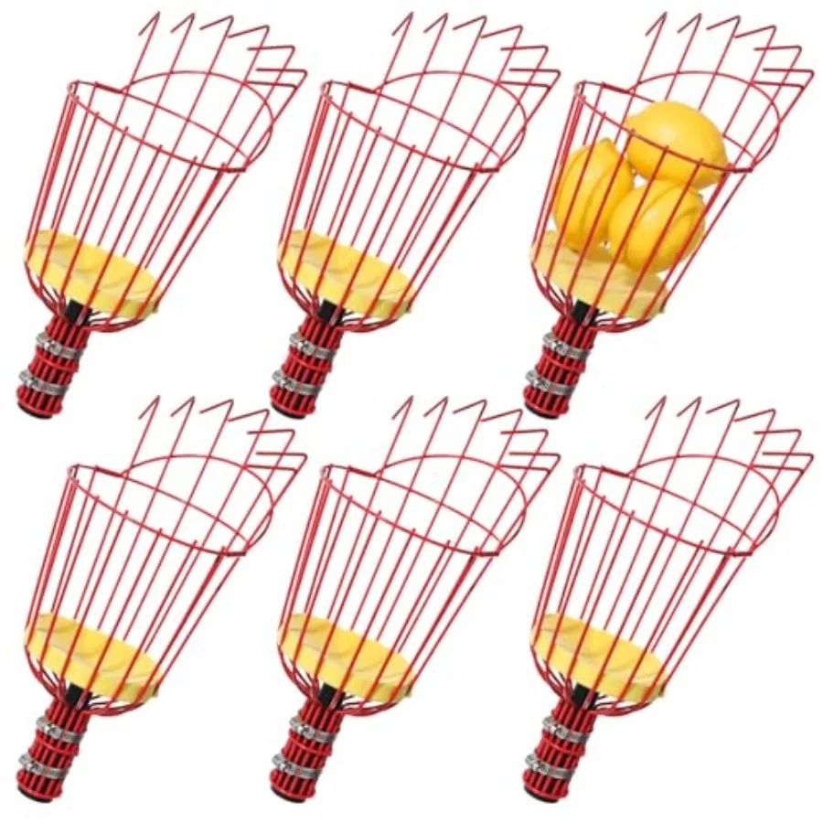 6 Pack Twist-on Fruit Picker Basket Fruit Picker Tool with Foam Cushion Adjustable Knob Fruits Harvesting Tool for Apple Avocad
6 Pack Twist-on Fruit Picker Basket Fruit Picker Tool with Foam Cushion Adjustable Knob Fruits Harvesting Tool for Apple Avocad