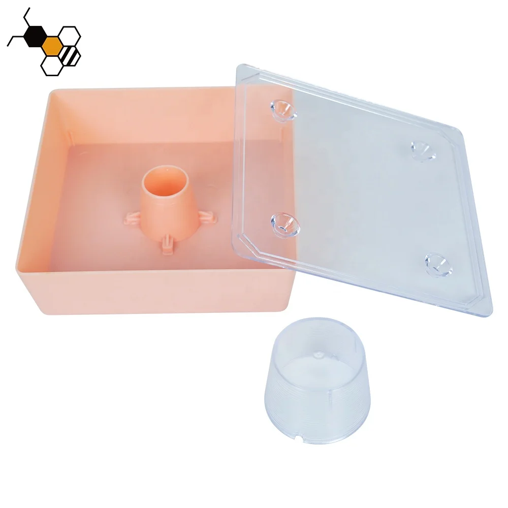 Beehive Top Feeder Bee Feed Water European Square Feeder Beekeeping Beekeeper Tool
Beehive Top Feeder Bee Feed Water European Square Feeder Beekeeping Beekeeper Tool