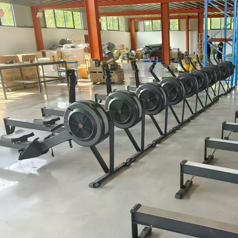 Commercial Professional Fitness Equipment Aerobic Wind Resistance Rowing Machine For Back Muscle Exercises
Commercial Professional Fitness Equipment Aerobic Wind Resistance Rowing Machine For Back Muscle Exercises