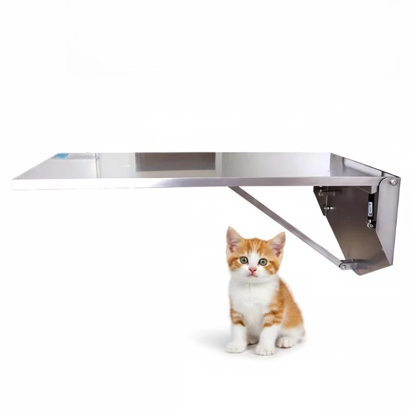 Wall Mount Folding Exam Table 304 Stainless Steel Veterinary Surgical Operation Fold Down Wall Table
Wall Mount Folding Exam Table 304 Stainless Steel Veterinary Surgical Operation Fold Down Wall Table
