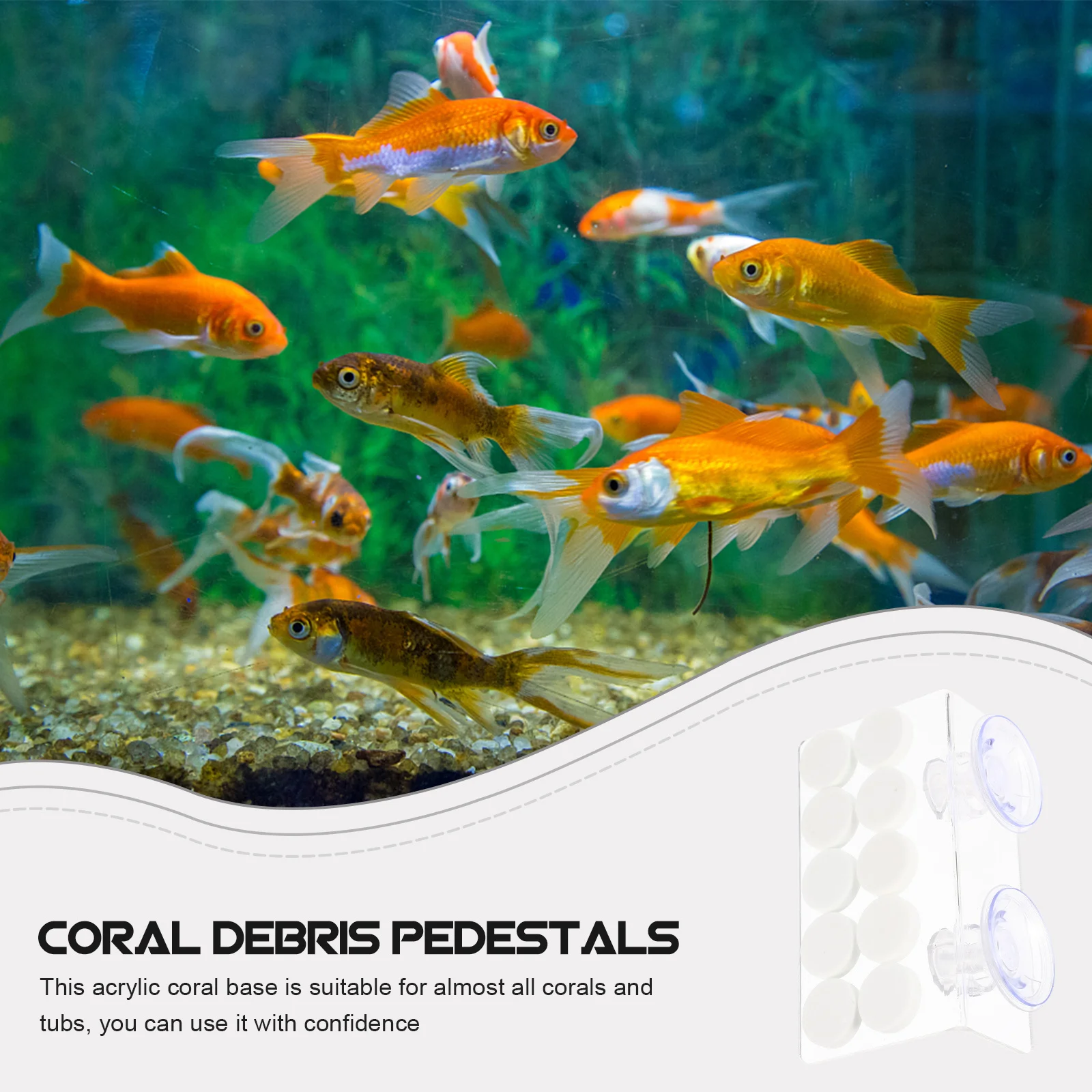 Acrylic Coral Frag Holder Transparent Lightweight Stable High-Temp Resistant Aquarium Coral Base For Hard Branching Corals
Acrylic Coral Frag Holder Transparent Lightweight Stable High-Temp Resistant Aquarium Coral Base For Hard Branching Corals