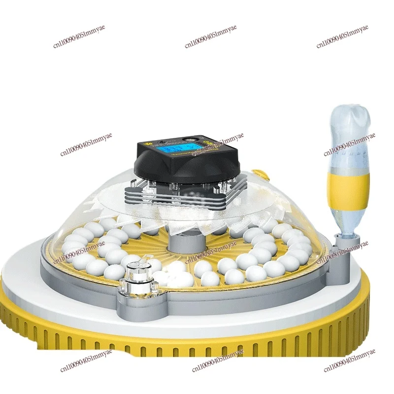 Small Household Incubator Rutin Chicken Hatching Small Flying Saucer Egg Incubator
Small Household Incubator Rutin Chicken Hatching Small Flying Saucer Egg Incubator