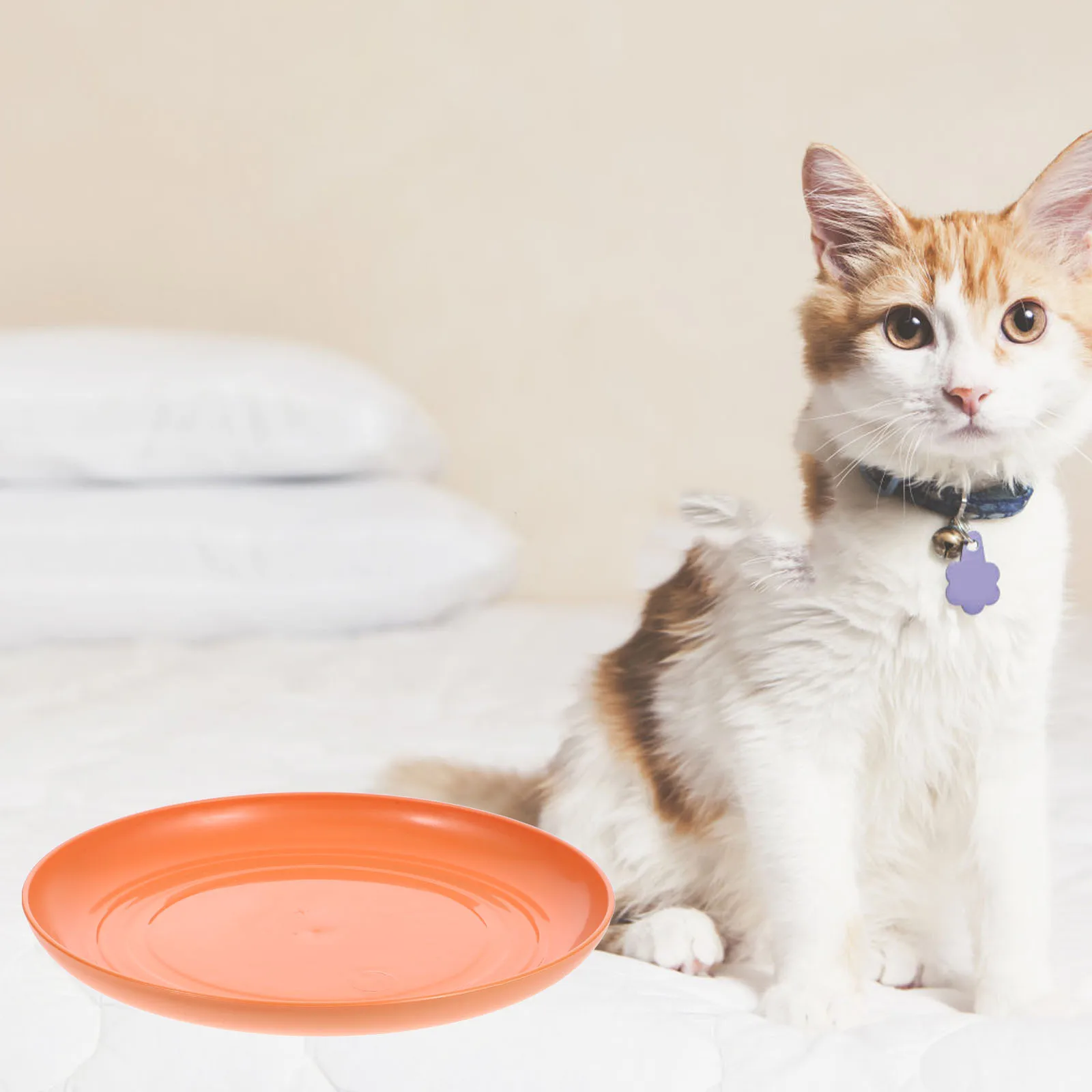 8pcs Cat Food Bowls Plates Robust Base Whisker Friendly Anti Fatigue Kittens Short Leg Cats Orange Pet Dishes Feeding
8pcs Cat Food Bowls Plates Robust Base Whisker Friendly Anti Fatigue Kittens Short Leg Cats Orange Pet Dishes Feeding