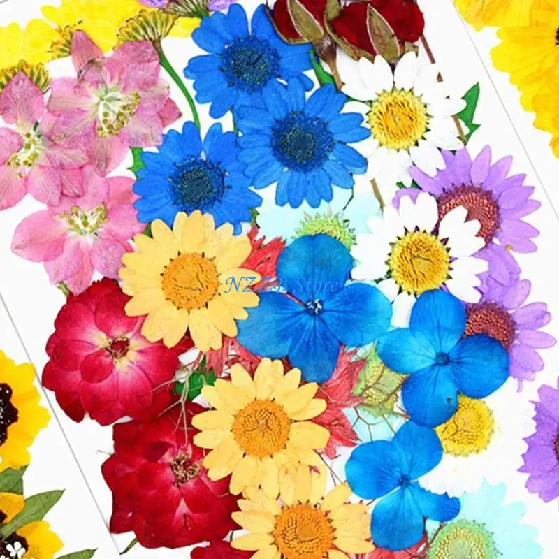 T21F 1 Pack Pressed Flower Herbs Resin Beauty Art Decals Epoxy Mold Fillings Dry Flower Mixed Dried Flower
T21F 1 Pack Pressed Flower Herbs Resin Beauty Art Decals Epoxy Mold Fillings Dry Flower Mixed Dried Flower
