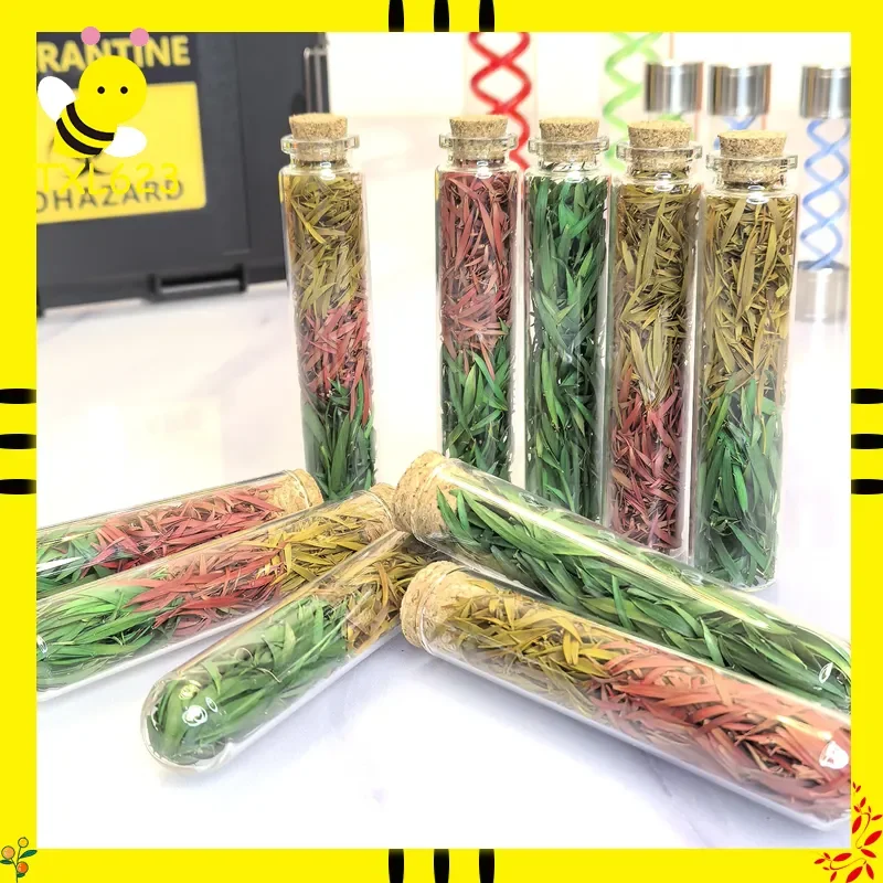 Resident Evil T-Virus, реплика спрея для первой помощи, модель травы ручной работы, реквизит для фильма, экшн-игрушка, фигурка, коллекционная для фанатов
Resident Evil T-Virus, реплика спрея для первой помощи, модель травы ручной работы, реквизит для фильма, экшн-игрушка, фигурка, коллекционная для фанатов