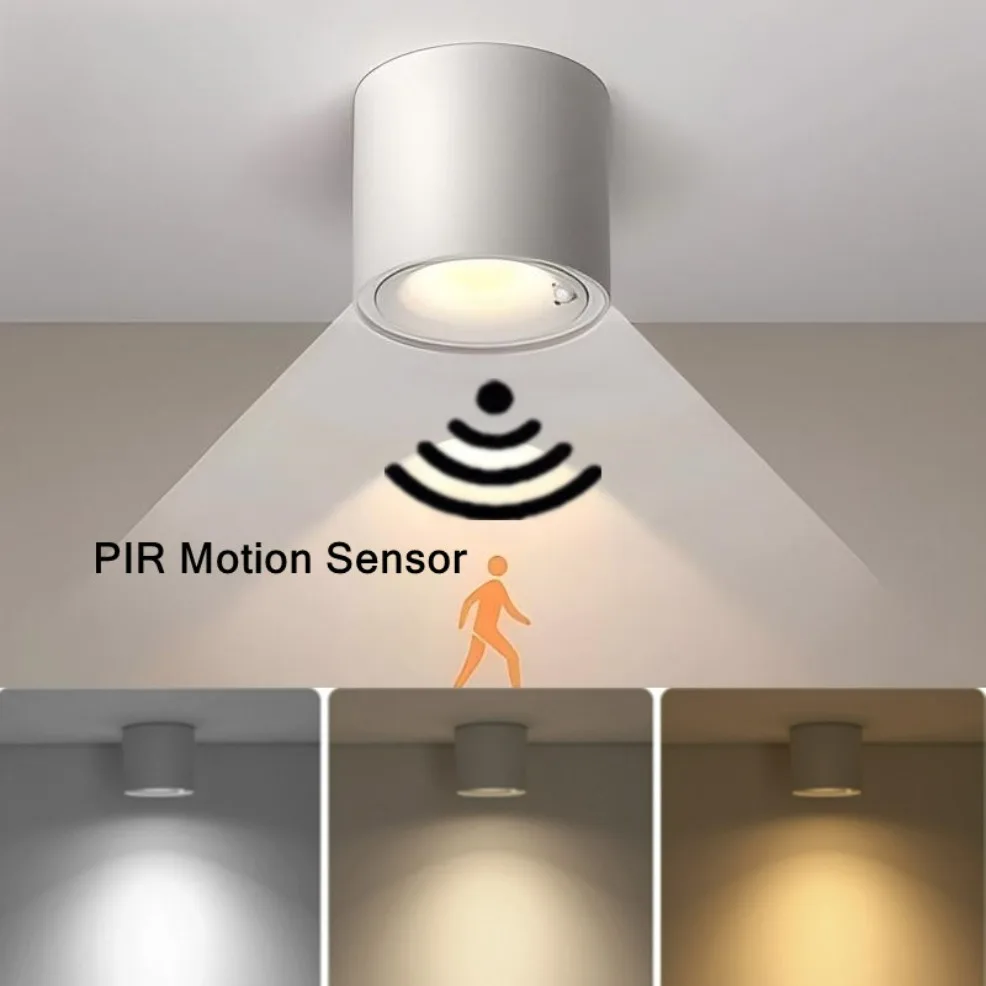 PIR Motion Sensor LED Ceiling Downlight Surface Mounted Anti-Glare Smart Stair Bedroom Home Spot Lighting Fixture Full spectrum
PIR Motion Sensor LED Ceiling Downlight Surface Mounted Anti-Glare Smart Stair Bedroom Home Spot Lighting Fixture Full spectrum