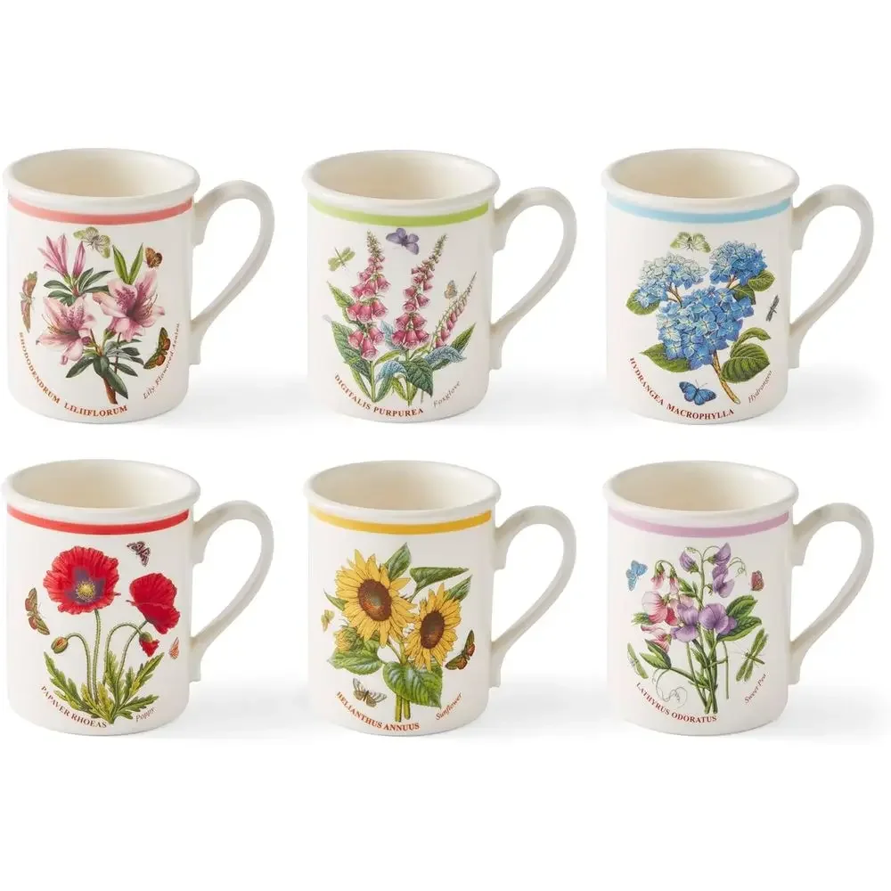 Porerion Botanic Garden Meadow - 8.5oz Coee Mug (Set o 6) | Assorted lorals with Colorul Laurel Lea Border| Earthenware | Microw
Porerion Botanic Garden Meadow - 8.5oz Coee Mug (Set o 6) | Assorted lorals with Colorul Laurel Lea Border| Earthenware | Microw