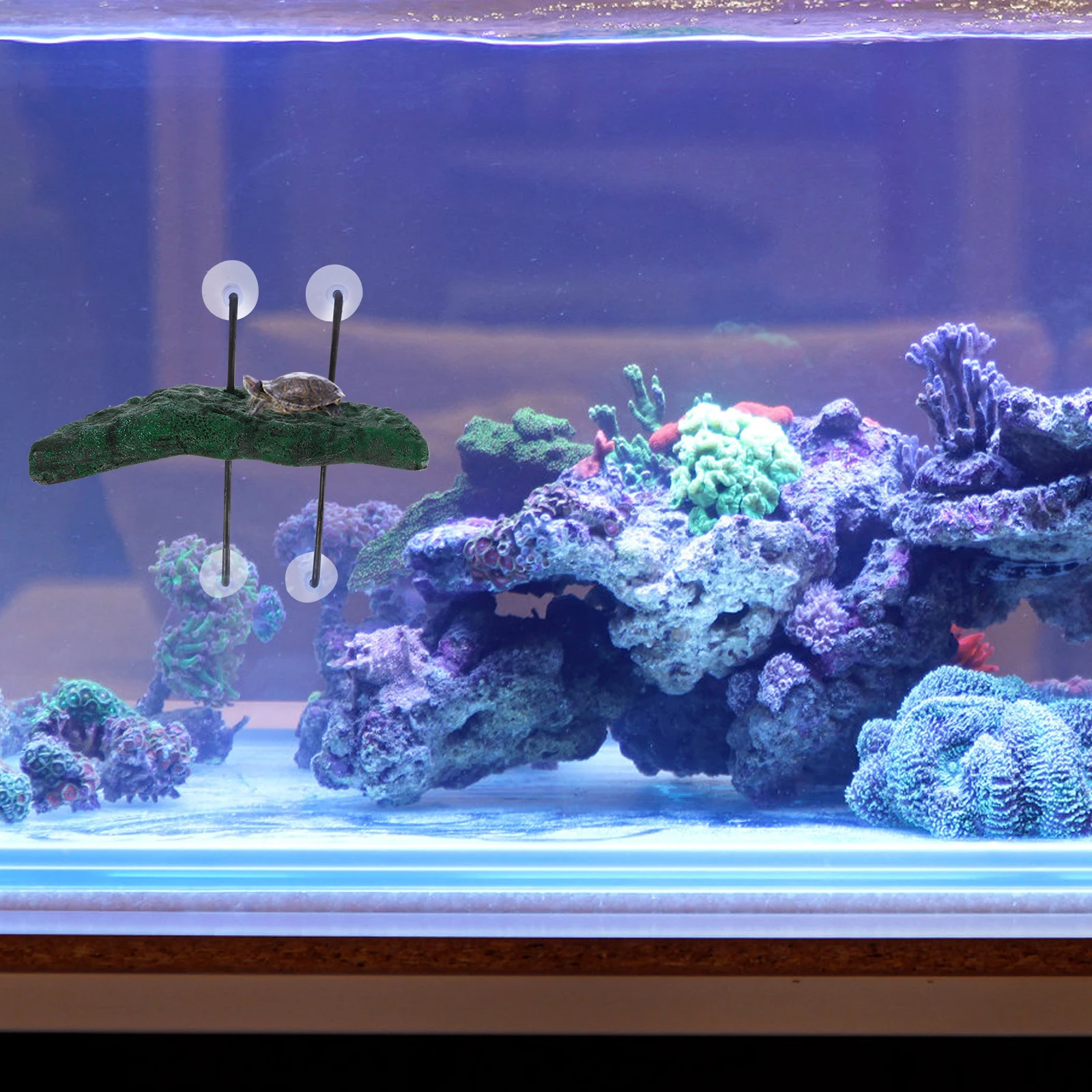 Turtle Tank Floating Basking Platform Durable Simulation Rest Stand Aquarium Decoration for Reptiles Turtle Ramp
Turtle Tank Floating Basking Platform Durable Simulation Rest Stand Aquarium Decoration for Reptiles Turtle Ramp
