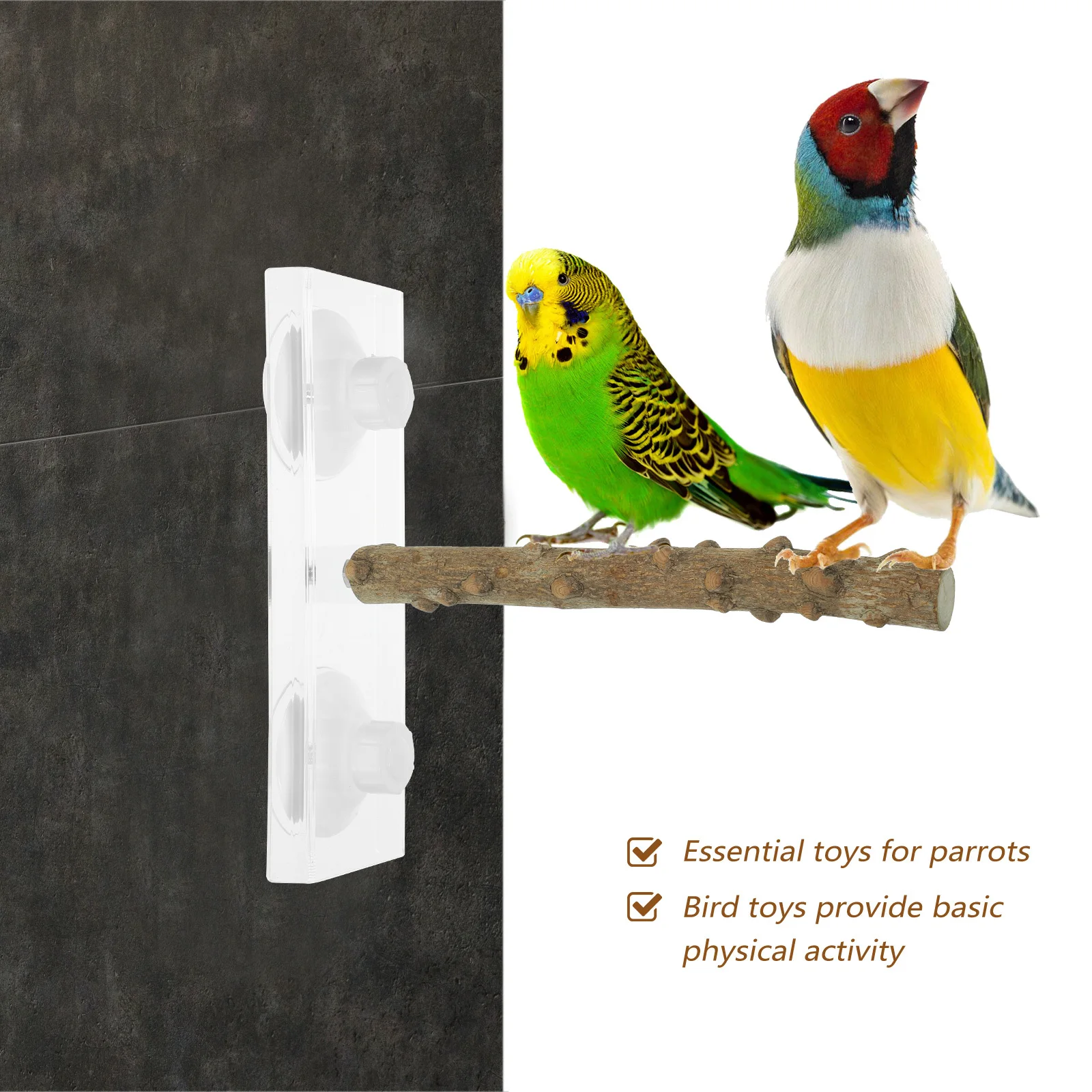 Portable Bird Perch Stand Suction Cup Mount For Small Birds Parrot Budgie Canary Cage Climbing Grinding Rod Pet Accessory
Portable Bird Perch Stand Suction Cup Mount For Small Birds Parrot Budgie Canary Cage Climbing Grinding Rod Pet Accessory