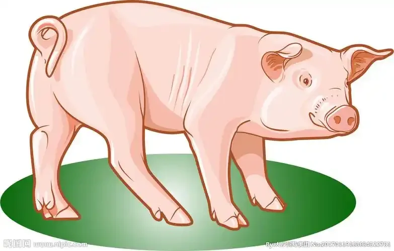 Aluminum Front Rear Uprights Knuckle Arms C-Hubs for Tamiya GF-02 GF-01 WR-02C Upgrades
Aluminum Front Rear Uprights Knuckle Arms C-Hubs for Tamiya GF-02 GF-01 WR-02C Upgrades