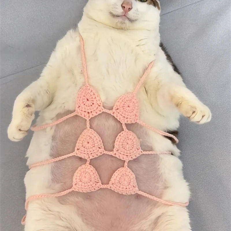 Pet Vacation Style Bikini Summer Cat Shaving, Privacy Protection, Knitted Sweater Cute Cat Cool Clothes Multiple Color Options
Pet Vacation Style Bikini Summer Cat Shaving, Privacy Protection, Knitted Sweater Cute Cat Cool Clothes Multiple Color Options