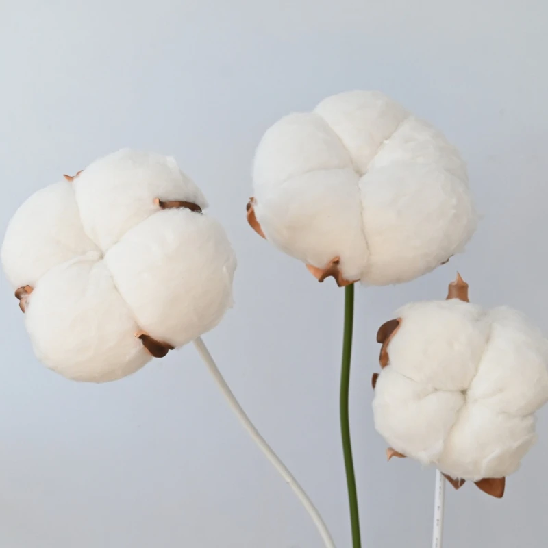 50CM Artificial Large Cotton Nordic Wabi Sabi Wind Beauty Chen Set Original Wood Artificial Flower Decoration Home Dry Flowers
50CM Artificial Large Cotton Nordic Wabi Sabi Wind Beauty Chen Set Original Wood Artificial Flower Decoration Home Dry Flowers