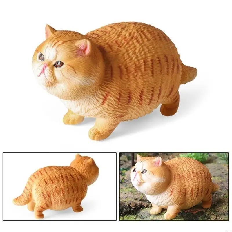 J2HD Модель в форме кошек нескольких типов для ландшафтной образовательной статуи котенка для офиса
J2HD Модель в форме кошек нескольких типов для ландшафтной образовательной статуи котенка для офиса