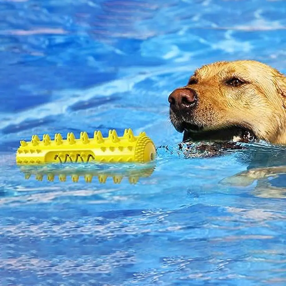 Vocal Dog Chew Toy Bump Design Wear-resistant Dog Toothbrush Stick Bright Colors Soft Dog Interactive Training Toys
Vocal Dog Chew Toy Bump Design Wear-resistant Dog Toothbrush Stick Bright Colors Soft Dog Interactive Training Toys