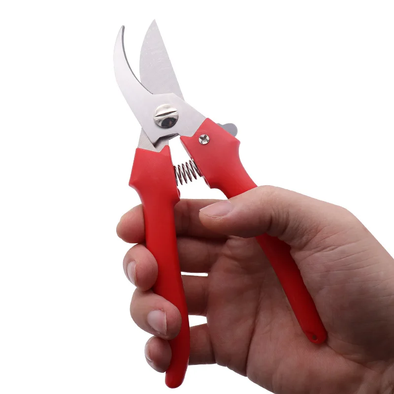 Bird Beak Vegetable Scissors Stainless Steel Fruit Tree Scissors Gardening Pruning High Branch Scissors Bonsai
Bird Beak Vegetable Scissors Stainless Steel Fruit Tree Scissors Gardening Pruning High Branch Scissors Bonsai