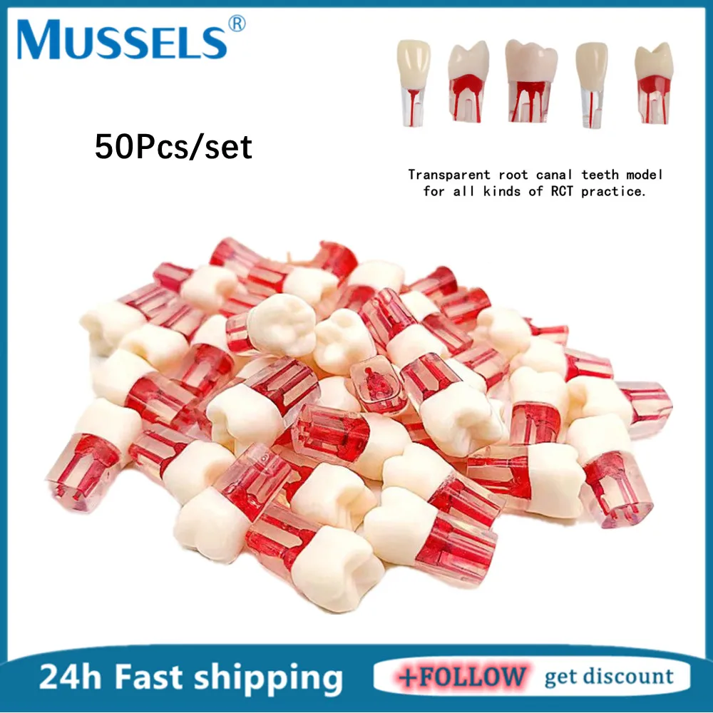 50 шт., стоматологическая эндодонтическая модель зубов, RCT, тренировочный блок, модель корневого канала, эндодонтическая целлюлоза, обучение полости, стоматолог, замена обучающего исследования
50 шт., стоматологическая эндодонтическая модель зубов, RCT, тренировочный блок, модель корневого канала, эндодонтическая целлюлоза, обучение полости, стоматолог, замена обучающего исследования