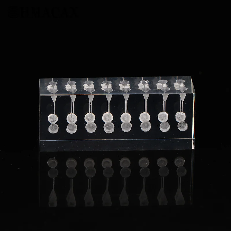 Dental Endodontic Root Model Canal Block Practice Pulp Cavity Clear Resin Endo Training Teeth RCT Teaching Exercise
Dental Endodontic Root Model Canal Block Practice Pulp Cavity Clear Resin Endo Training Teeth RCT Teaching Exercise