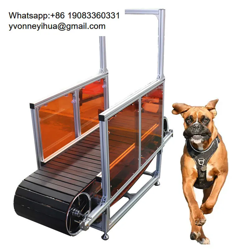 Hot Sale Dog Treadmill Large Treadmill Dogmills Slatmill Pet Training Equipment For Large Dogs
Hot Sale Dog Treadmill Large Treadmill Dogmills Slatmill Pet Training Equipment For Large Dogs