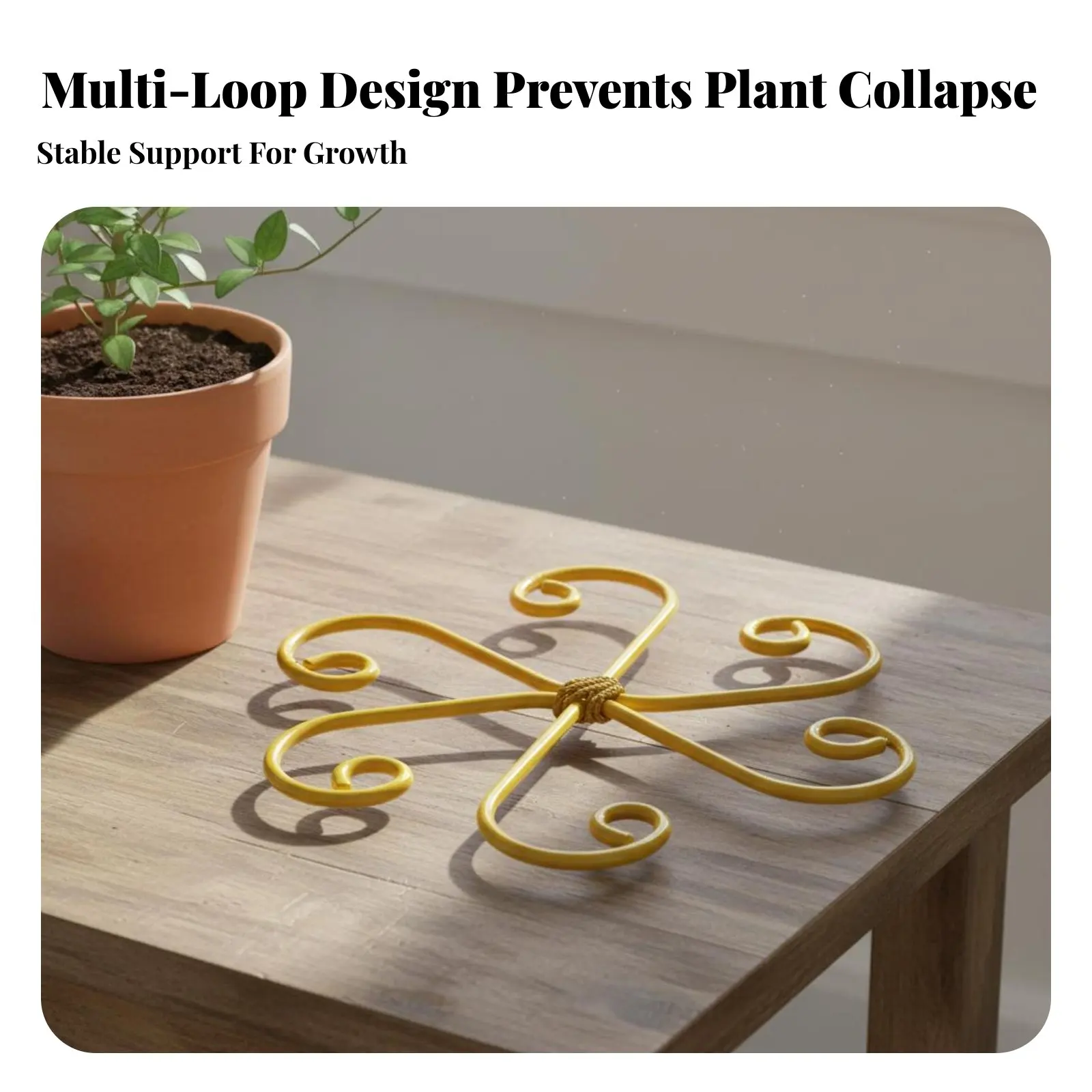 Lotus Shape Plant Holder Decorative Stalk Support Spiral Design Plant Trellis Gold Iron Grapple Holder for Potted Plants, Office
Lotus Shape Plant Holder Decorative Stalk Support Spiral Design Plant Trellis Gold Iron Grapple Holder for Potted Plants, Office