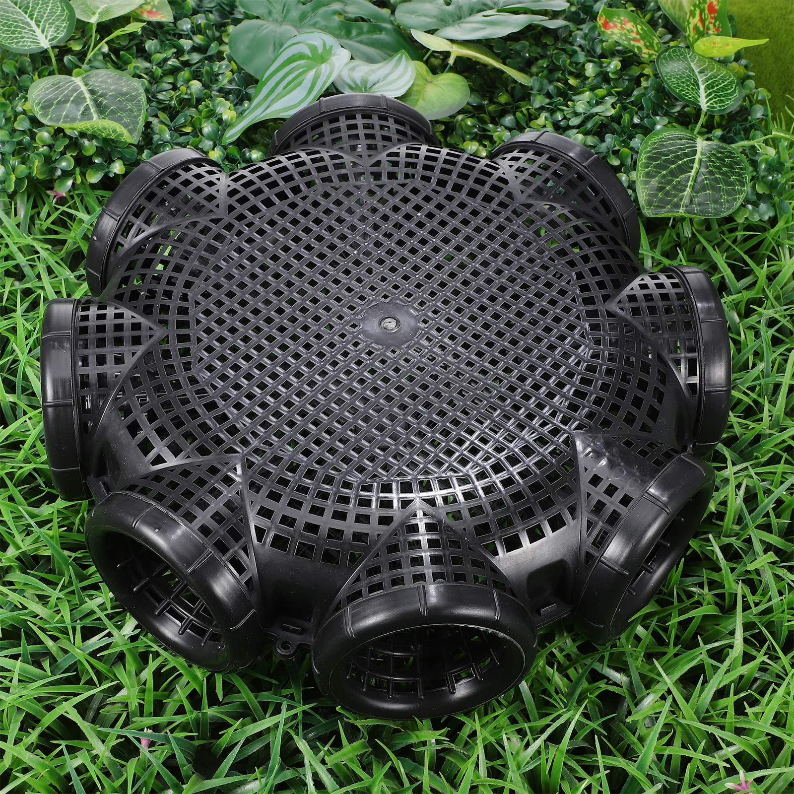 Fish Cage Clear Minnow Trap Crawfish Net Ice Fishing Traps Crab for Blue Crabs Cast Bait Shrimp Saltwater
Fish Cage Clear Minnow Trap Crawfish Net Ice Fishing Traps Crab for Blue Crabs Cast Bait Shrimp Saltwater