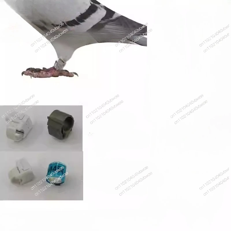 Suitable for Homing Pigeons, Racing Pigeons, Parrots, Mountain Pheasants, Hunting Pheasants, GPS Tracking Device, Foot Ring
Suitable for Homing Pigeons, Racing Pigeons, Parrots, Mountain Pheasants, Hunting Pheasants, GPS Tracking Device, Foot Ring