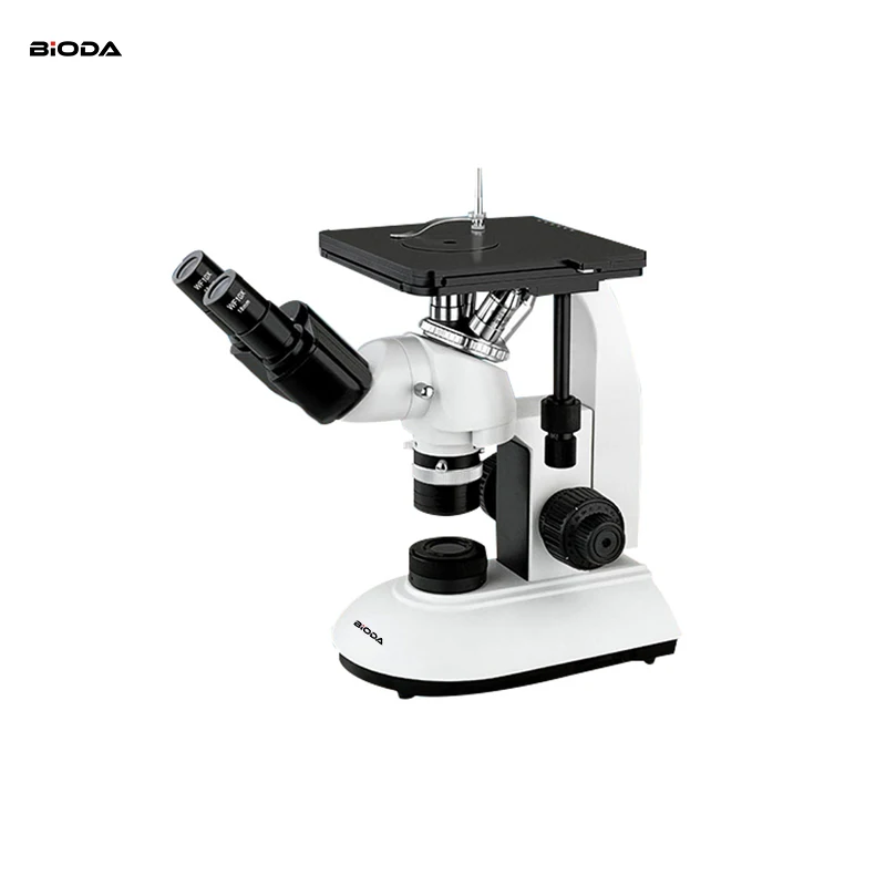 Infinite Optical System Metallographic Objective Mine School Teaching Inverted Metallurgical Microscope
Infinite Optical System Metallographic Objective Mine School Teaching Inverted Metallurgical Microscope