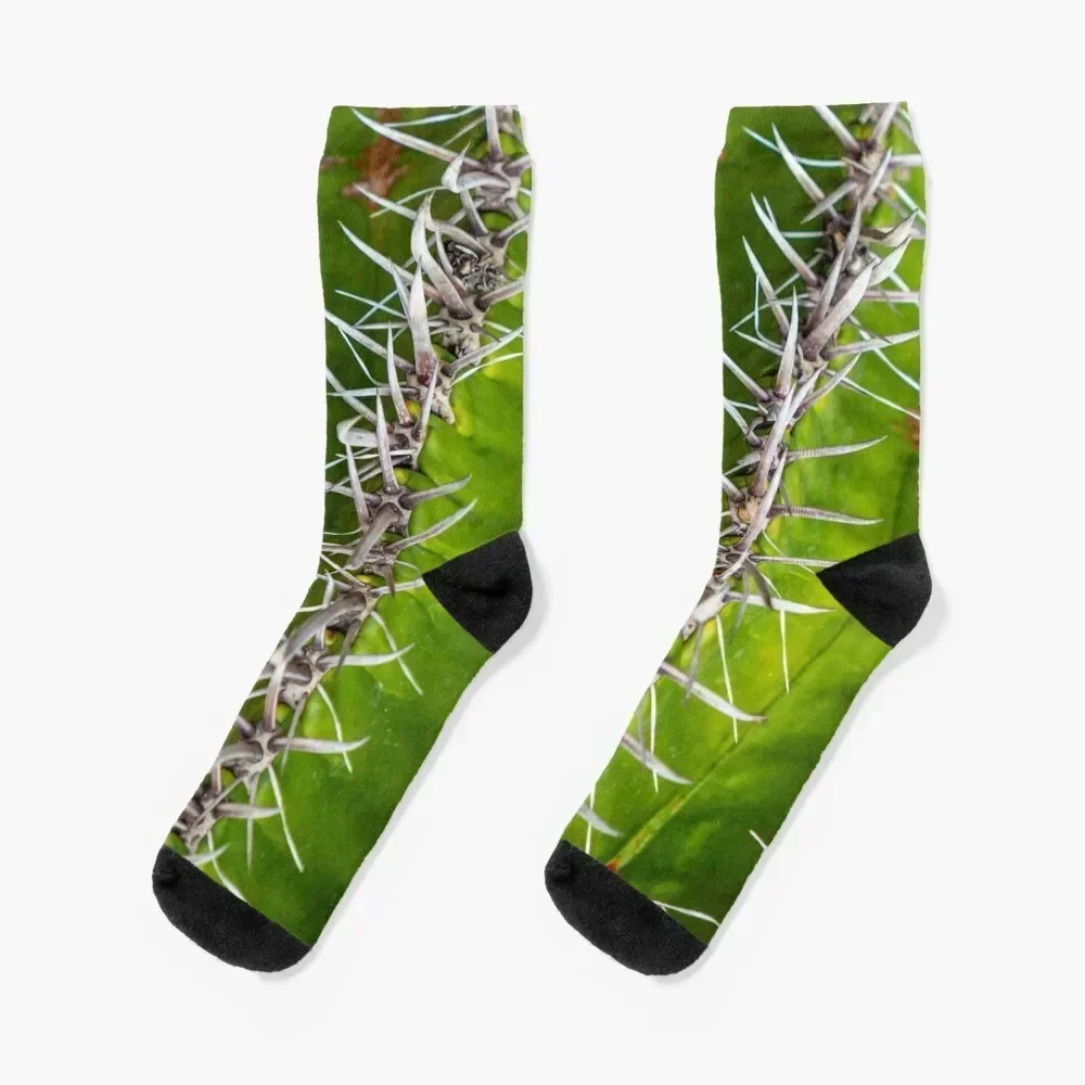 Evil looking cacti spines Socks cool Soccer with print Running Ladies Socks Men's
Evil looking cacti spines Socks cool Soccer with print Running Ladies Socks Men's