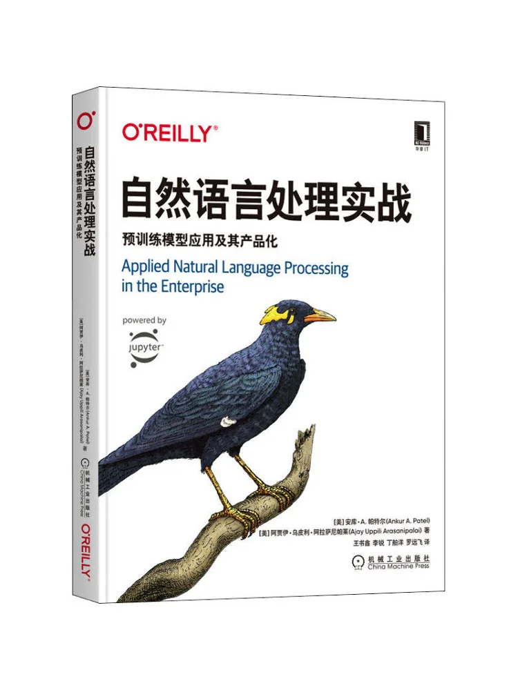 Book-Winshare Nature Language Processing Practical Pre Training Model Application and Its Productization
Book-Winshare Nature Language Processing Practical Pre Training Model Application and Its Productization