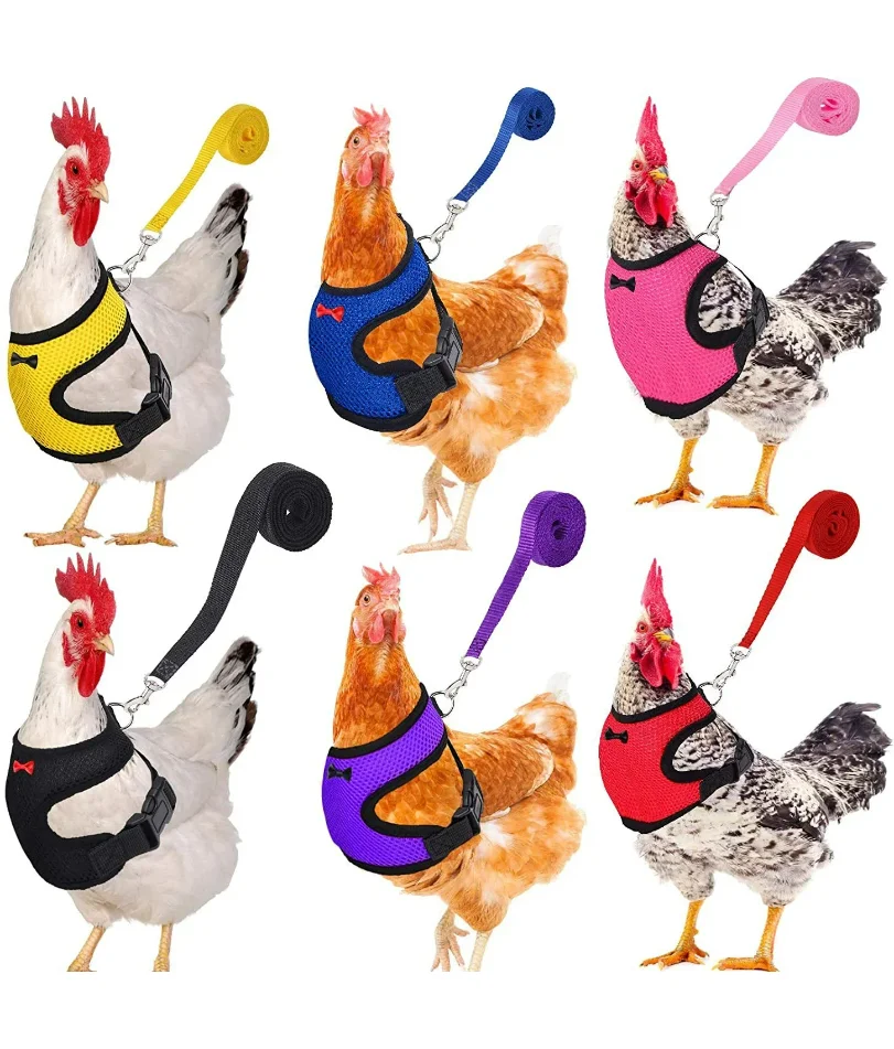 Fashion Chicken Duck Vest Hen Belt Pet Harness Matching Collars Bow Comfortable Leads Breathable Poultry Supplies
Fashion Chicken Duck Vest Hen Belt Pet Harness Matching Collars Bow Comfortable Leads Breathable Poultry Supplies
