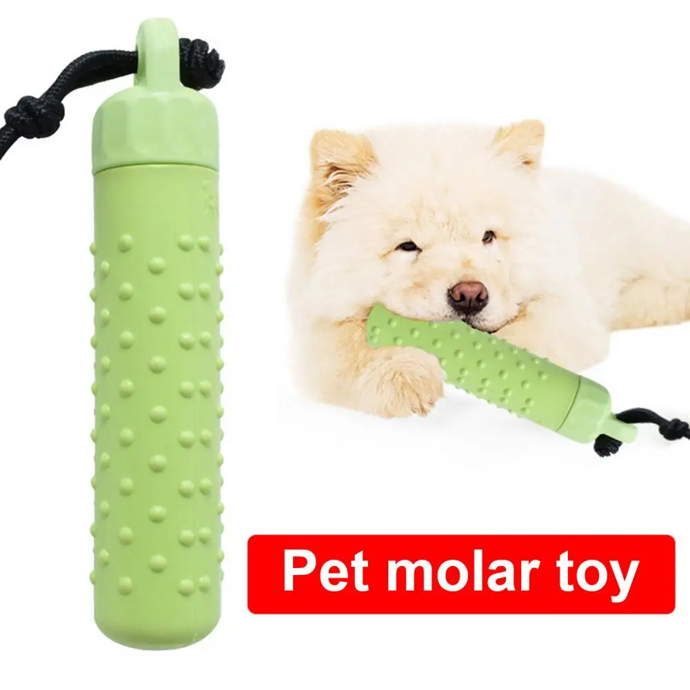 Lightweight Float Dog Toy for Water Play Floating Dog Pool Toy with Rope for Summer Outdoor Training Durable Tpr Chew for Hiding
Lightweight Float Dog Toy for Water Play Floating Dog Pool Toy with Rope for Summer Outdoor Training Durable Tpr Chew for Hiding
