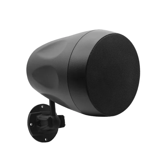 4 inch 20w White Black Pendant Speaker Universal Multi-purpose All-weather Outdoor Waterproof Speaker
4 inch 20w White Black Pendant Speaker Universal Multi-purpose All-weather Outdoor Waterproof Speaker