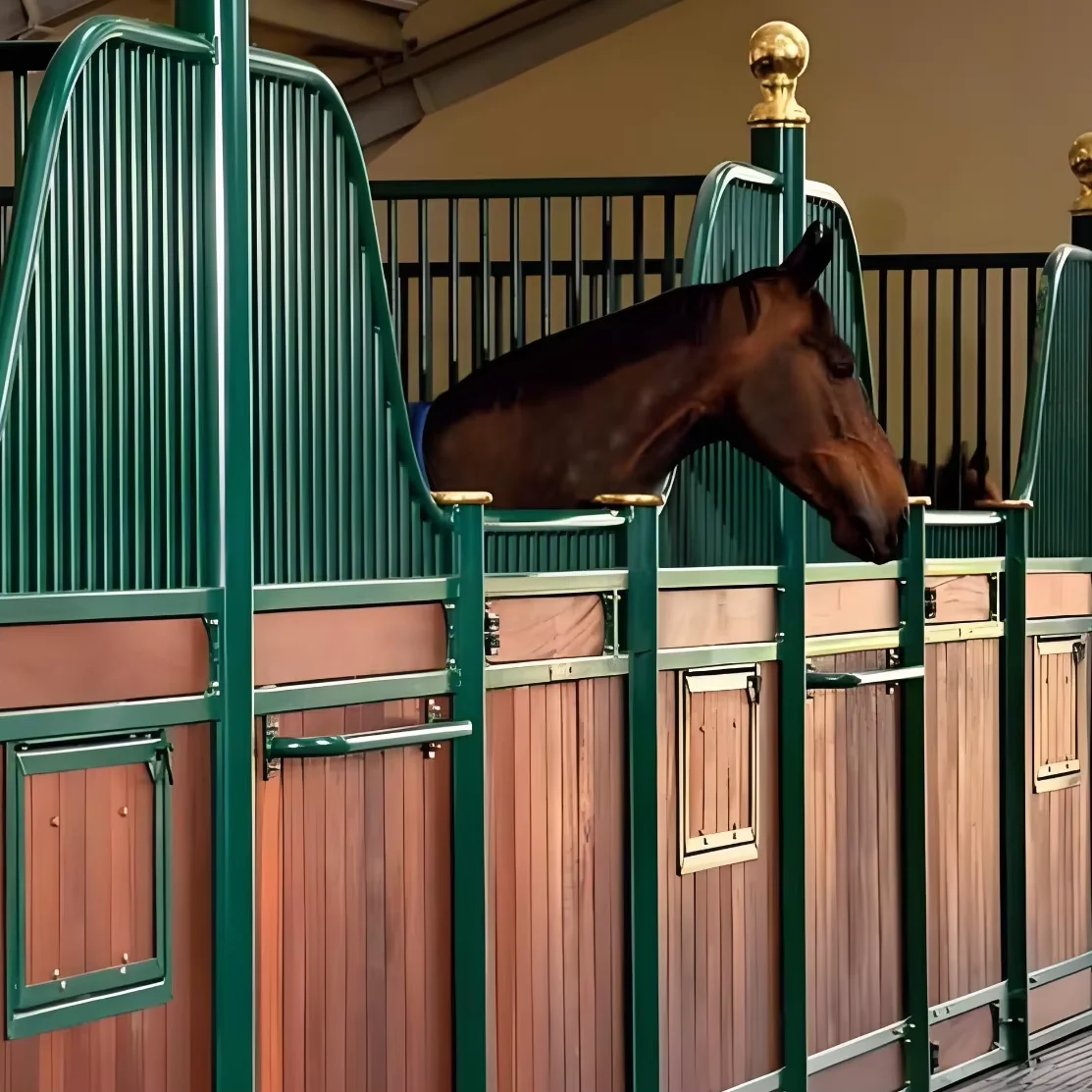 Horse Farms And Barns For Sale Hot Model For The European Market Durable With A 3-year Shelf Life Horse Shack
Horse Farms And Barns For Sale Hot Model For The European Market Durable With A 3-year Shelf Life Horse Shack