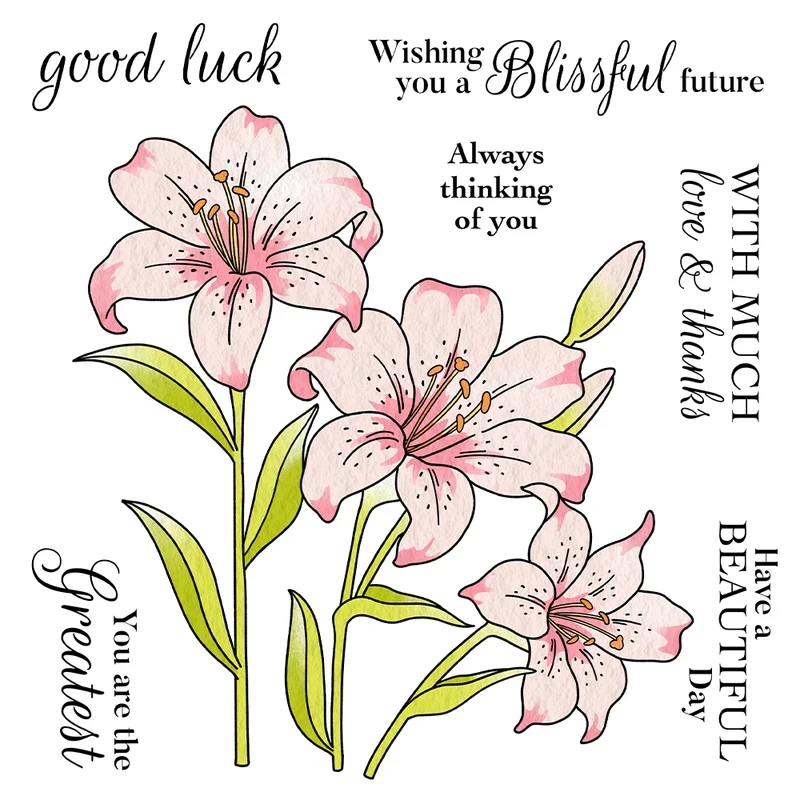 Blooming Flowers Clear Stamp Cutting Dies Stencils Set DIY Scrapbooking Supplies Silicone Stamp Metal Dies For Cards
Blooming Flowers Clear Stamp Cutting Dies Stencils Set DIY Scrapbooking Supplies Silicone Stamp Metal Dies For Cards