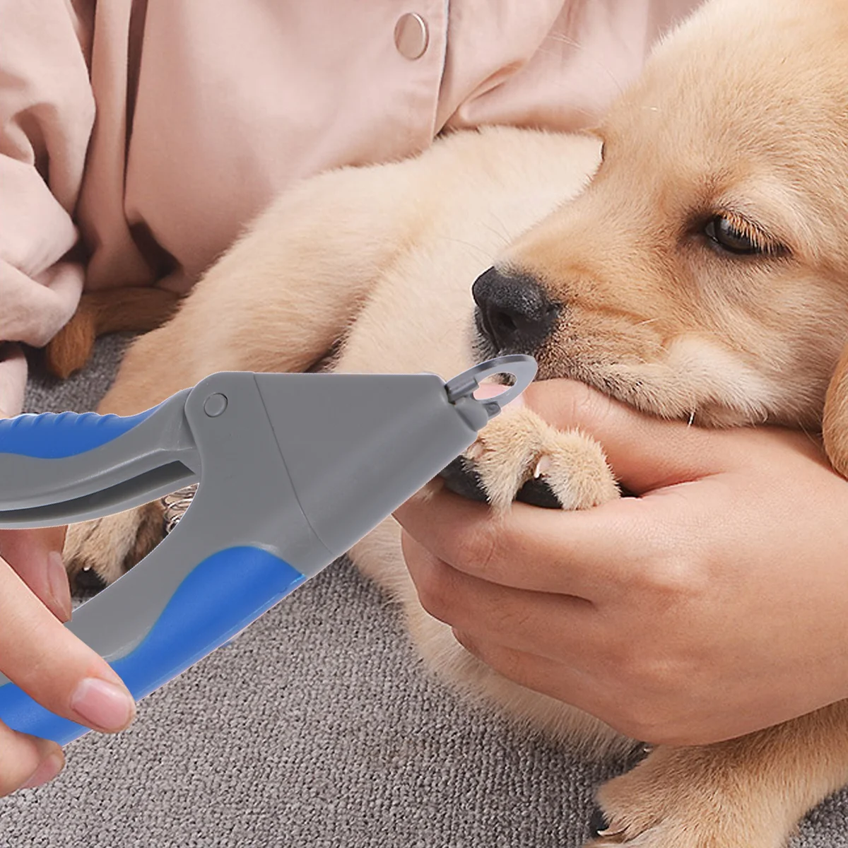 1pc Pet Cleaning Stainless Steel Nail Clipper Dog Cat Scissors Claw Trimmer Pet Nail Pet Nail Clipper
1pc Pet Cleaning Stainless Steel Nail Clipper Dog Cat Scissors Claw Trimmer Pet Nail Pet Nail Clipper