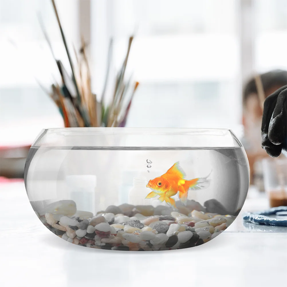 Desk Terrarium Decorative Goldfish Bowl Decorations Glass Crafts Transparent Tank
Desk Terrarium Decorative Goldfish Bowl Decorations Glass Crafts Transparent Tank