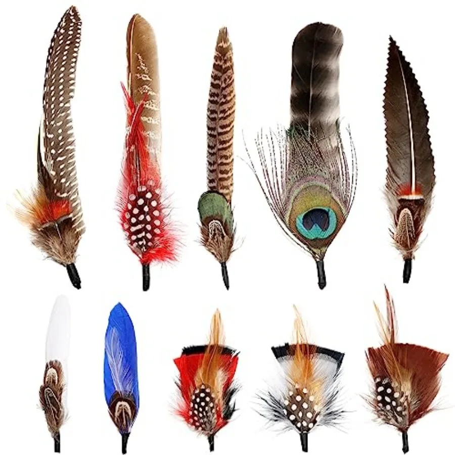 Hat Feathers 0 Styles Natural Assorted Feathers for Fedora Hats Accessories DIY Craft, Western Cowboy Hats, Christmas Party Hat
Hat Feathers 0 Styles Natural Assorted Feathers for Fedora Hats Accessories DIY Craft, Western Cowboy Hats, Christmas Party Hat